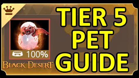 Tier 5 Pet Full Guide & Recommendation Choose Pets.